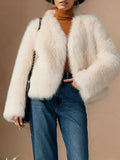 Plush Faux Fur Teddy Coat