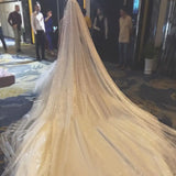 Golden Starry Sky Shining Bridal Veil  118" Long cathedral