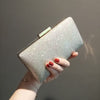 Urban Minimalist Small Square Evening Bag