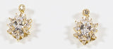 Cubic Zirconia Earrings WG27E