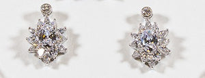 Cubic Zirconia Earrings WG27E